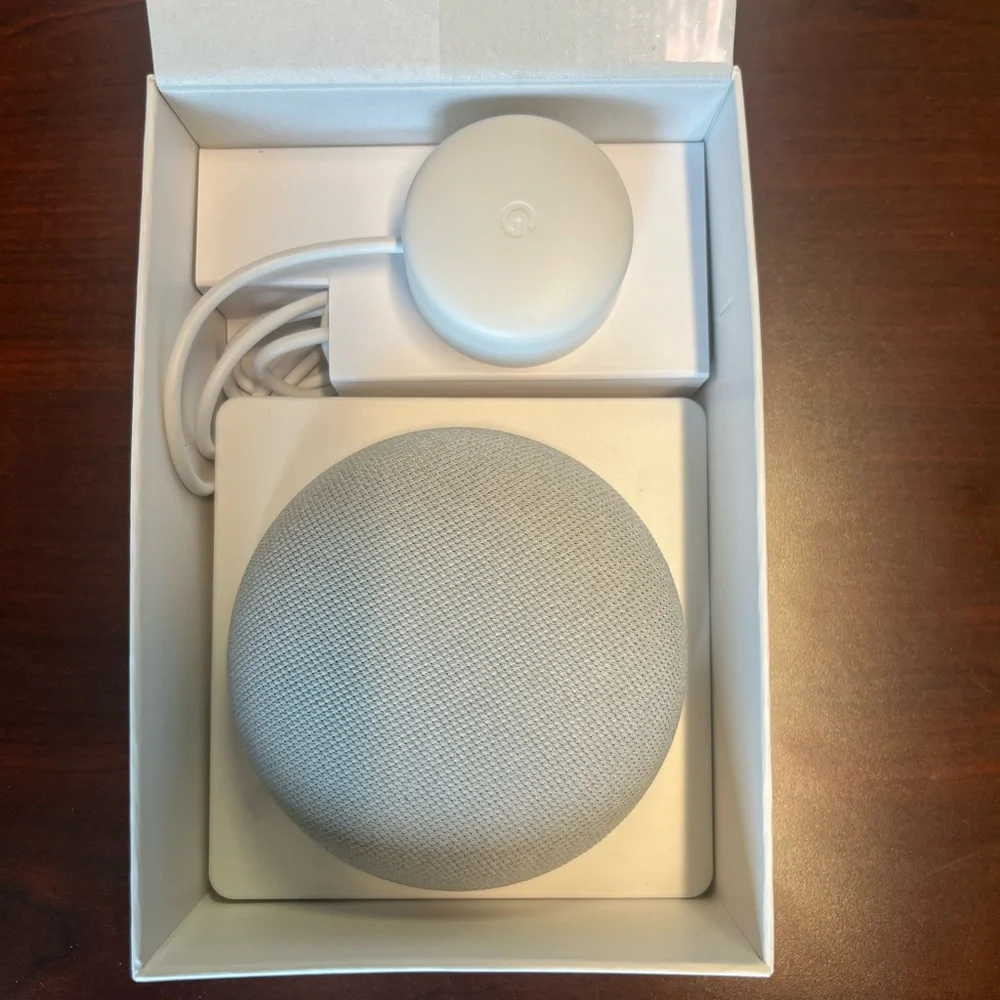 Google Nest Mini